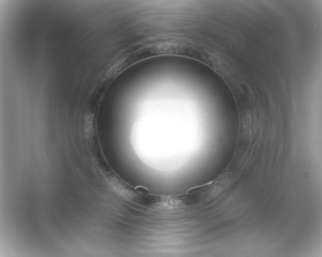 X0000066020278200603171539