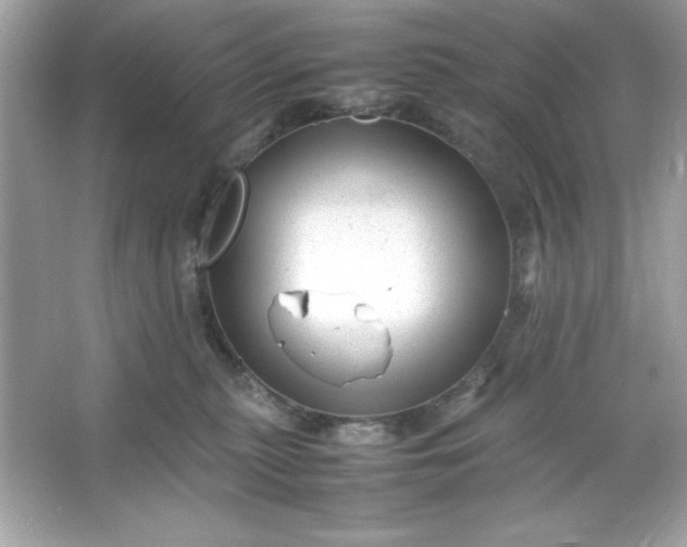 X0000066020279200603171540