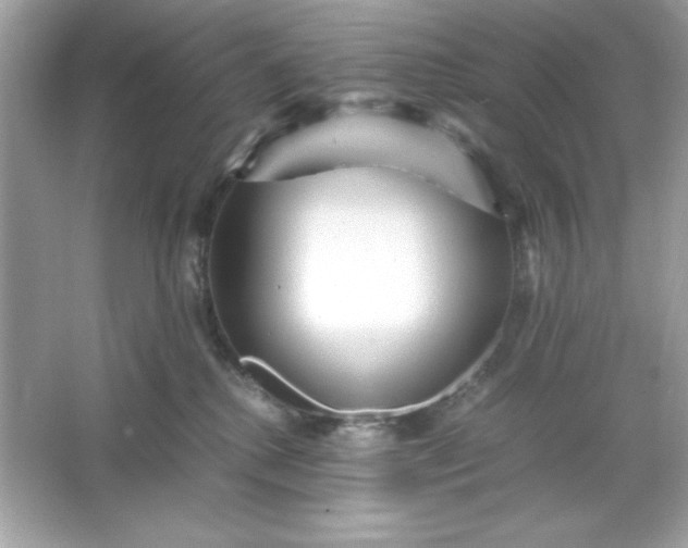 X0000066020280200603171540