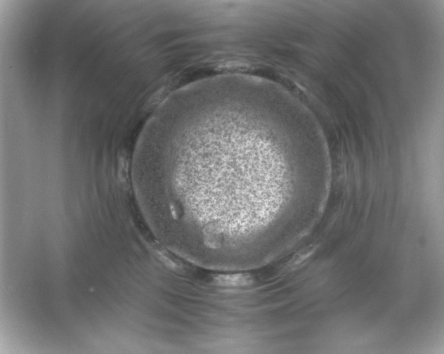 X0000066020281200603171540