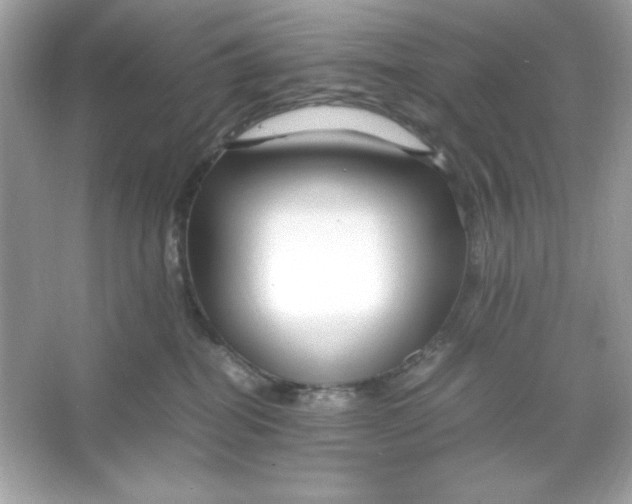 X0000066020282200603171540