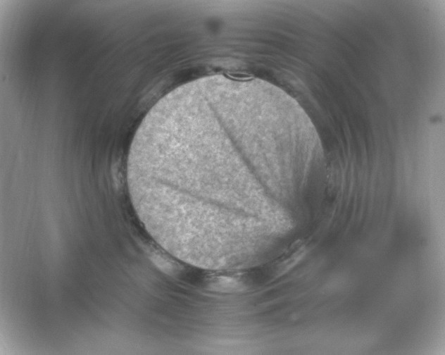 X0000066020285200603171540