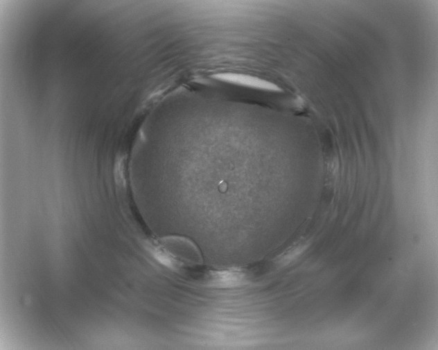 X0000066020286200603171540