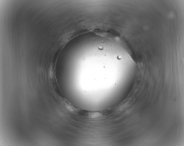 X0000066020287200603171540