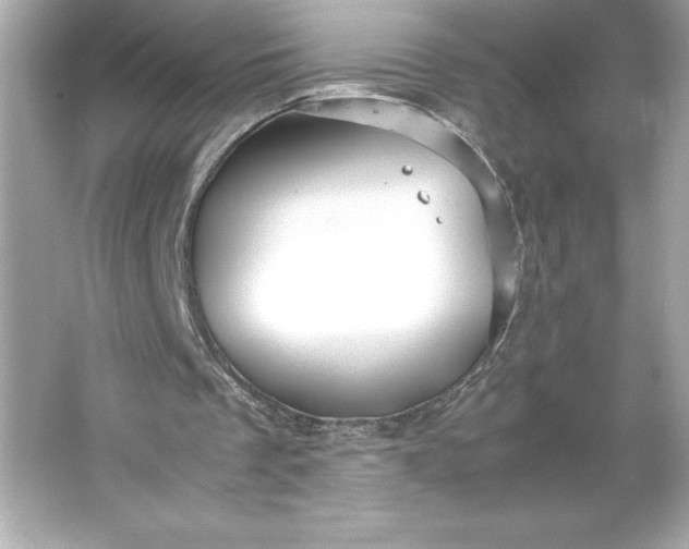 X0000066020289200603171539