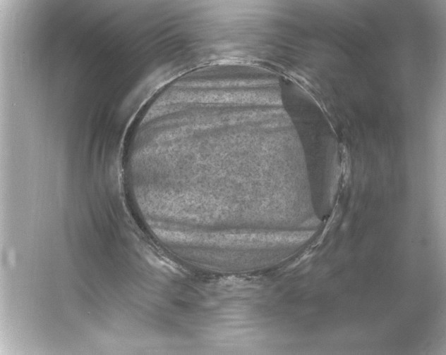 X0000066020290200603171539