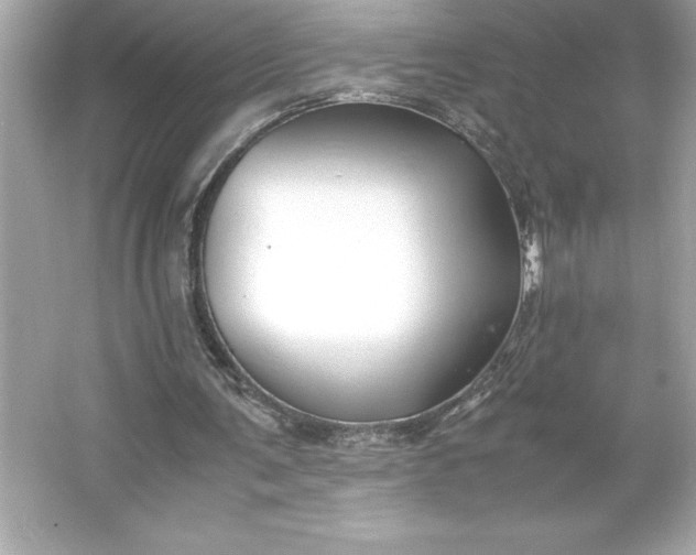 X0000066020291200603171539