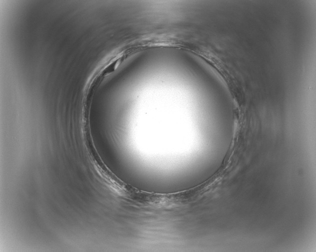 X0000066020293200603171539