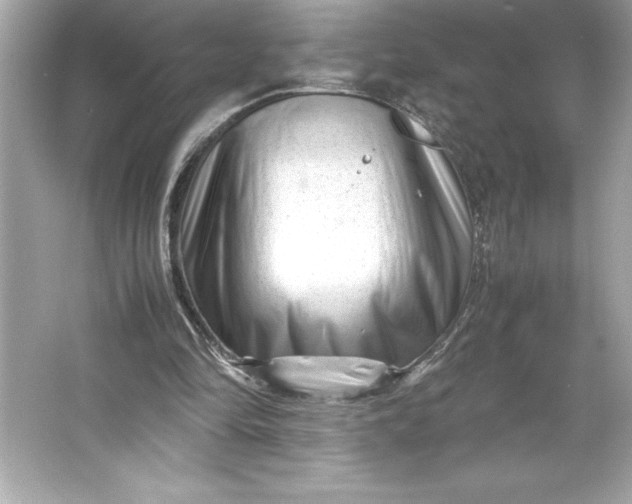 X0000066020294200603171539