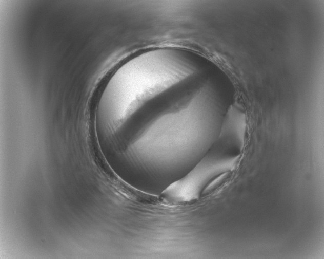 X0000066020295200603171539