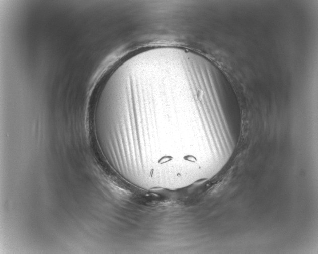 X0000066020296200603171539