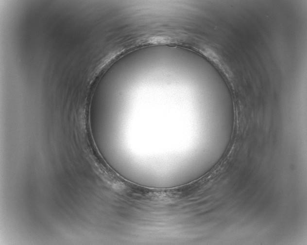 X0000066020297200603171539