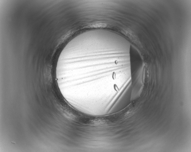 X0000066020300200603171539