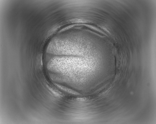 X0000066020302200603171539