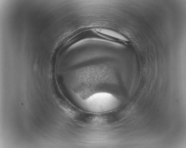 X0000066020303200603171539