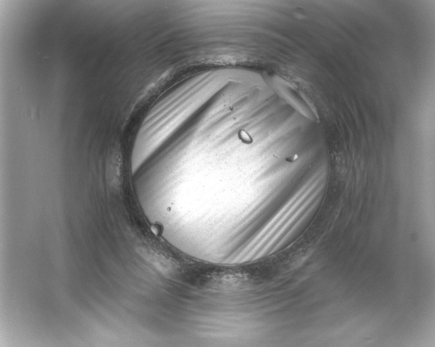 X0000066020304200603171539