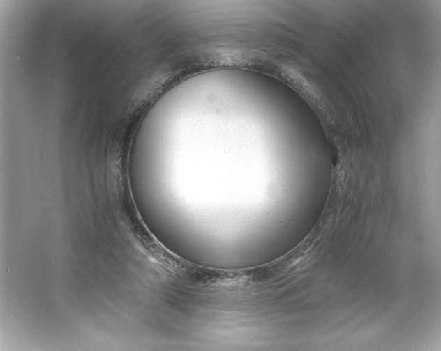 X0000066020306200603171539