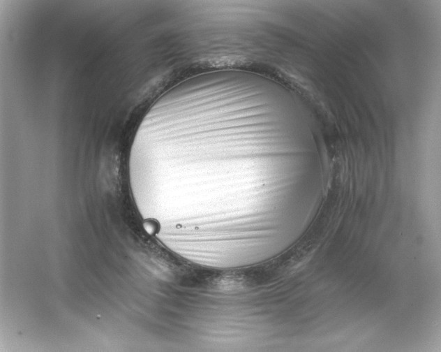 X0000066020308200603171539