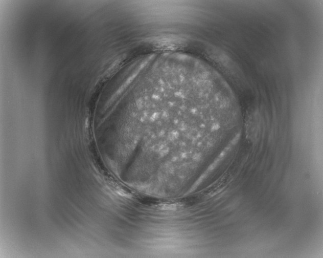 X0000066020314200603171538