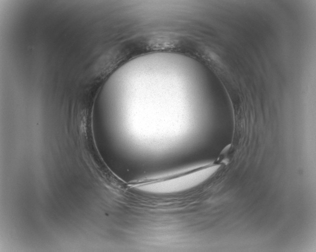 X0000066020315200603171538