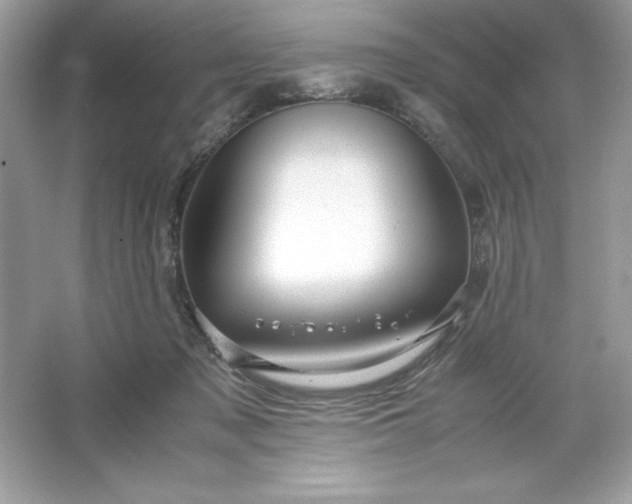 X0000066020317200603171538