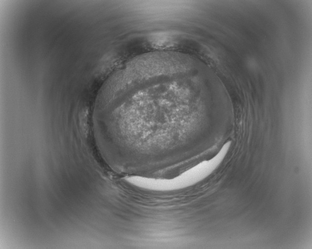 X0000066020319200603171538