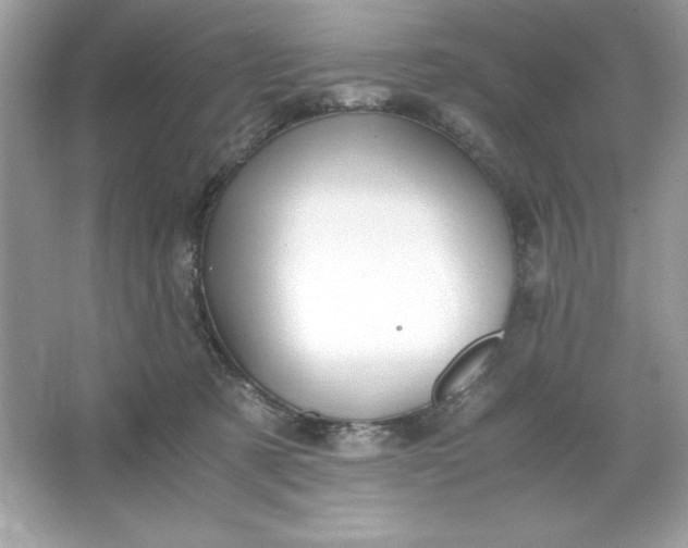 X0000066020321200603171538