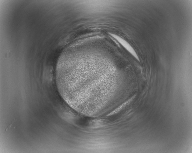 X0000066020323200603171538