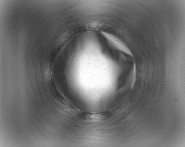 X0000066020324200603171538