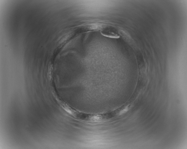 X0000066020325200603171538