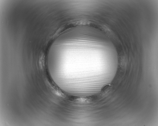 X0000066020326200603171538