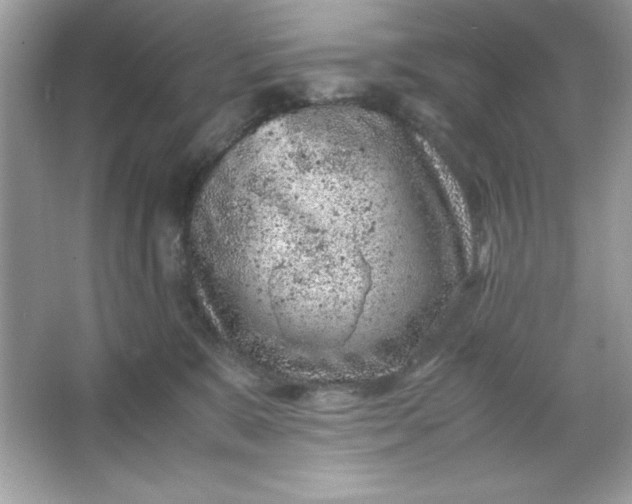 X0000066020327200603171538