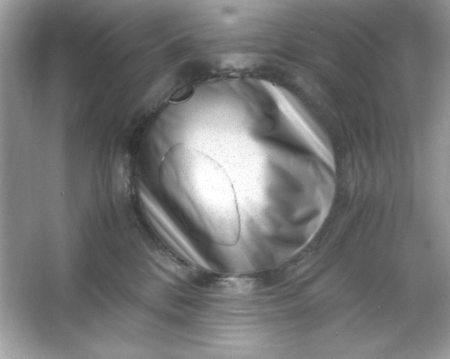 X0000066020328200603171538