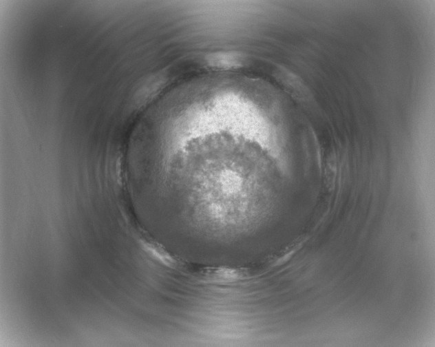 X0000066020330200603171538