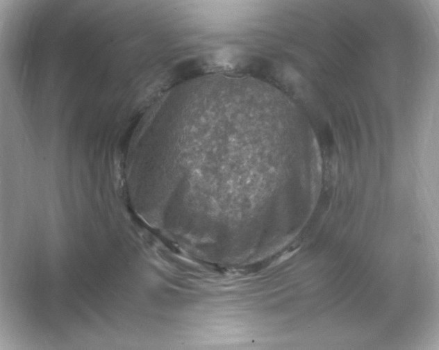 X0000066020331200603171538