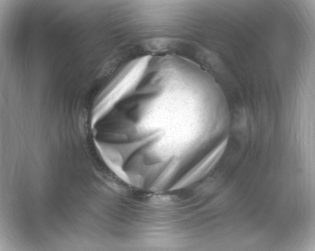 X0000066020332200603171538