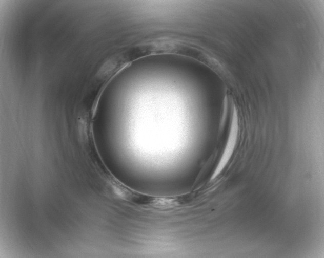 X0000066020333200603171538