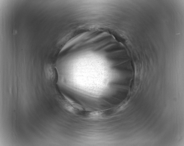 X0000066020335200603171538