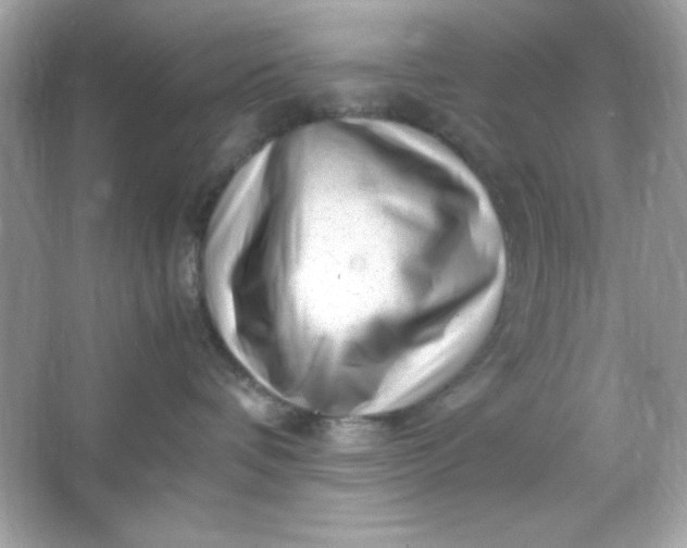 X0000066020336200603171538