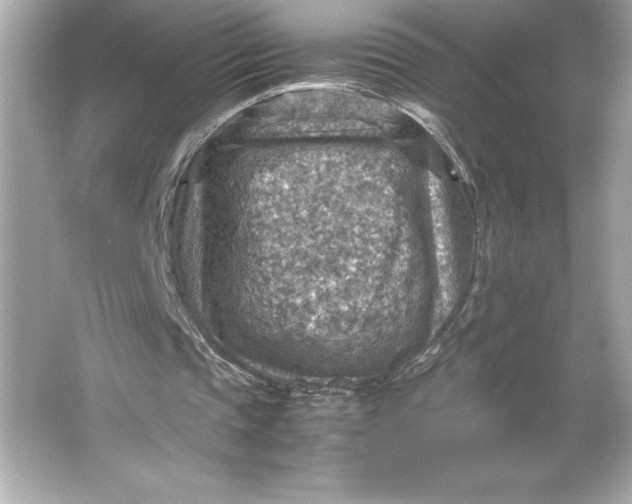 X0000066020337200603171537