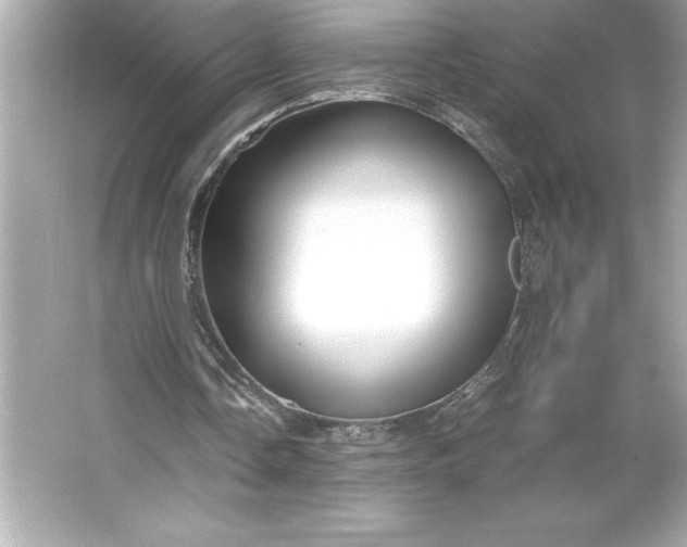 X0000066020338200603171537