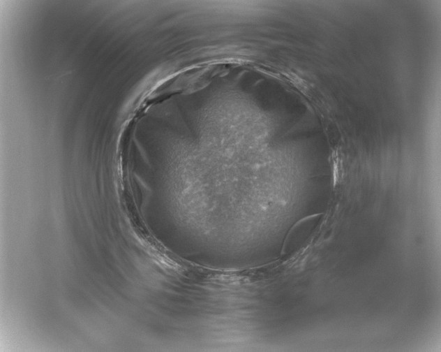 X0000066020339200603171537