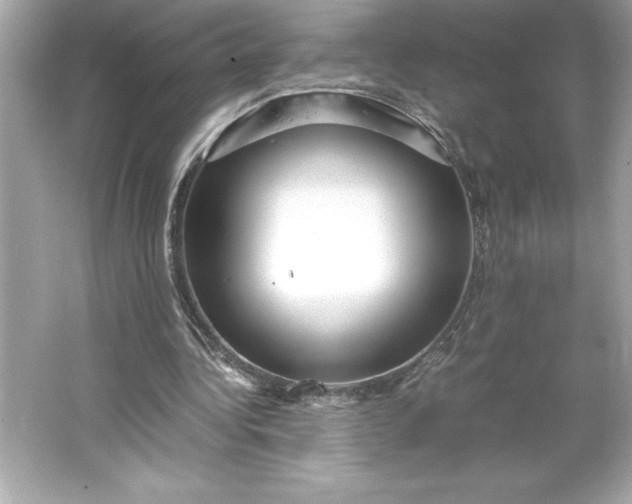 X0000066020340200603171537