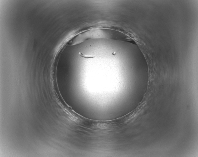 X0000066020341200603171537