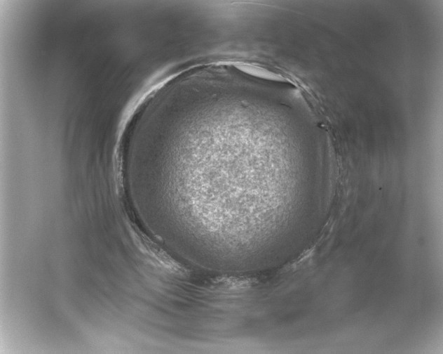 X0000066020343200603171537