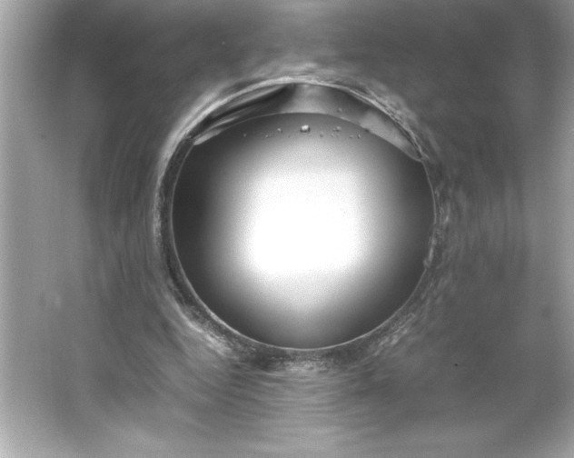 X0000066020344200603171537