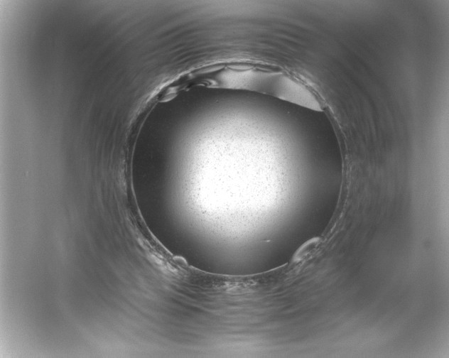 X0000066020345200603171537