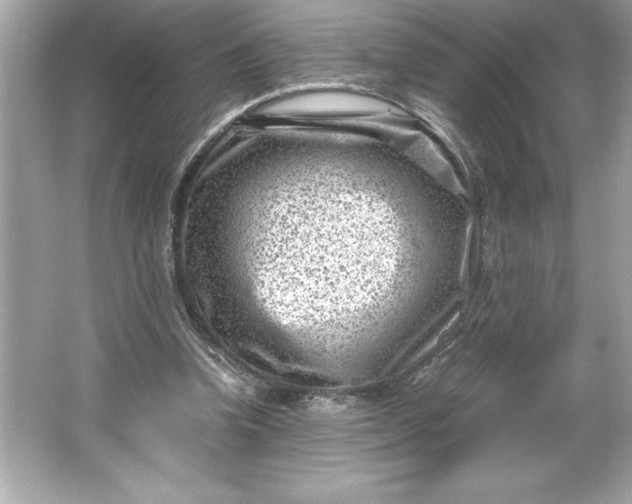 X0000066020346200603171537