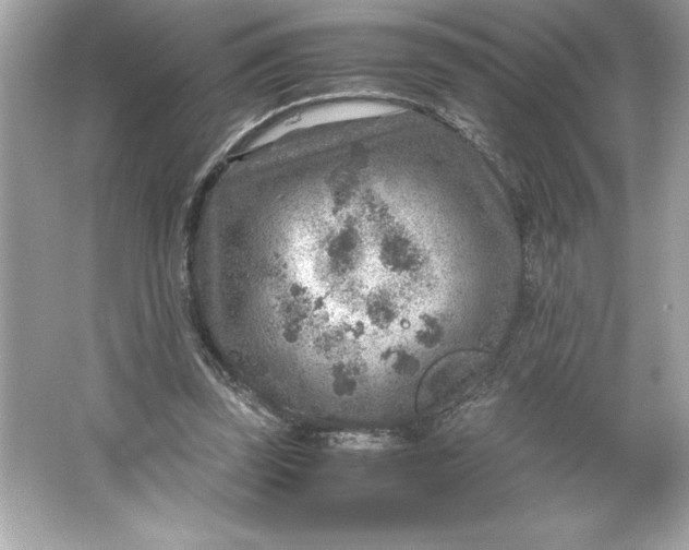 X0000066020347200603171537