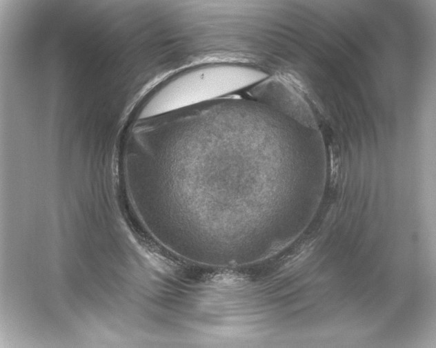 X0000066020348200603171537